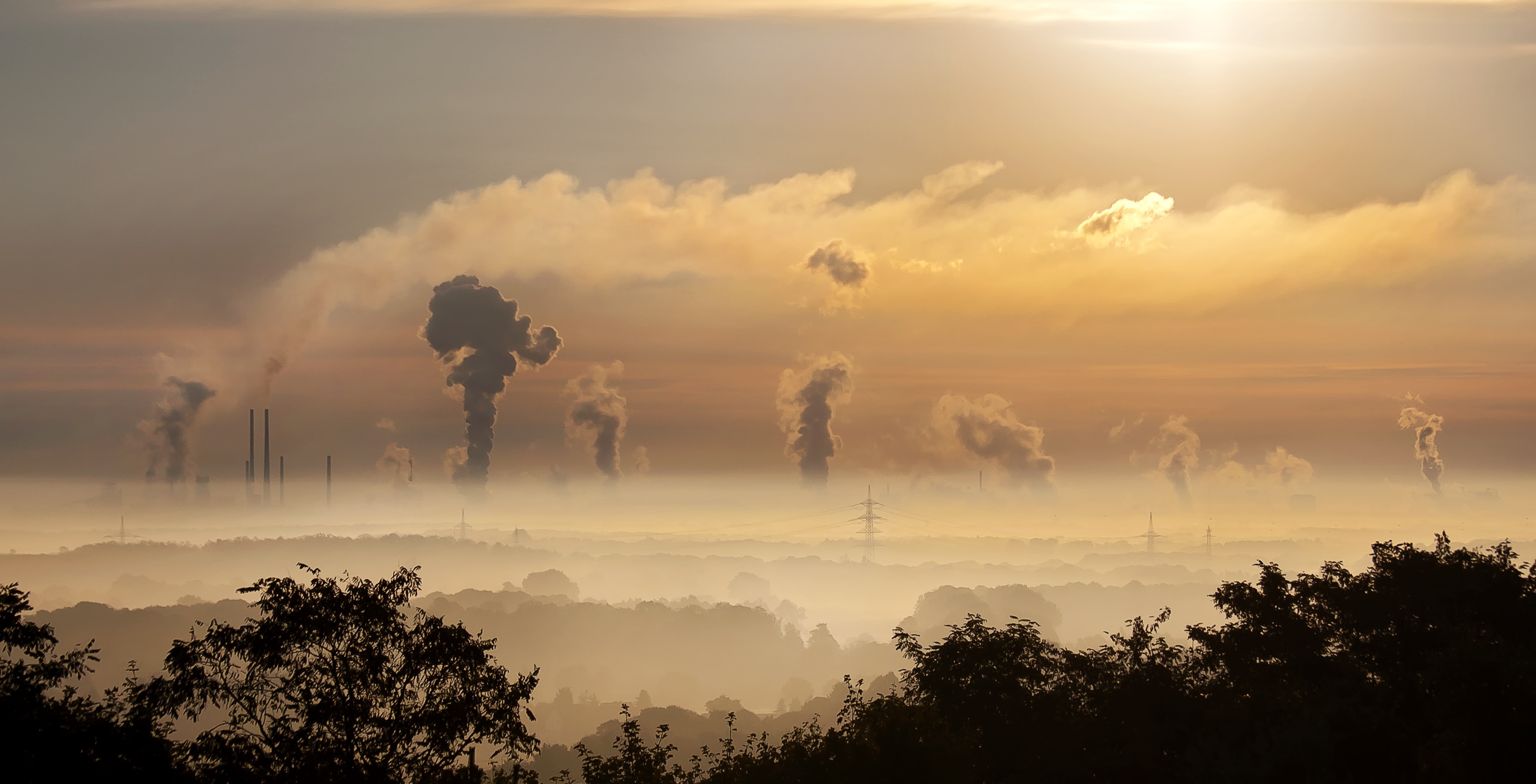„procesem w smog”